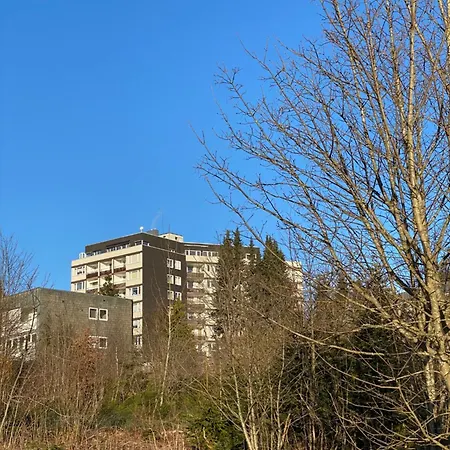 Apartmán Ueber Den Daechern Von - Im Bikepark & Mit Ssc! *