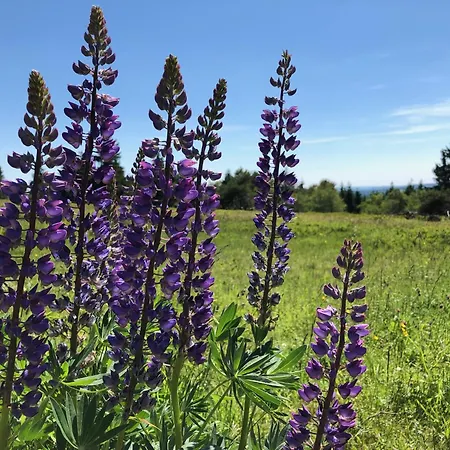 Ueber Den Daechern Von - Im Bikepark & Mit Ssc!