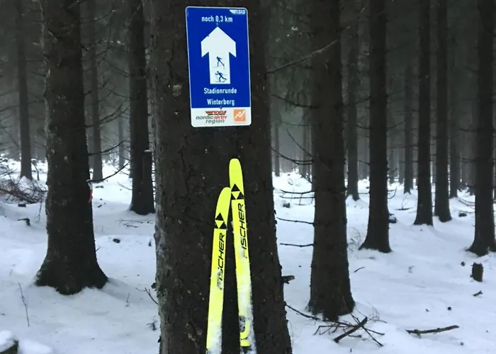 Apartamento über Den Dächern Von - Im Bikepark