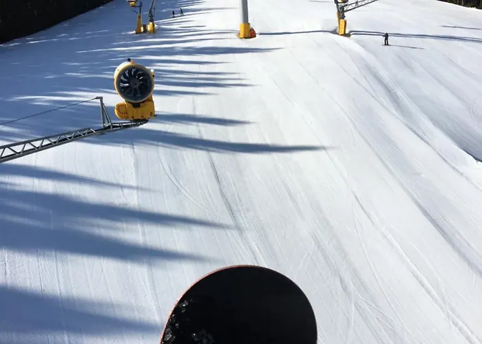 Ueber Den Daechern Von - Im Bikepark & Mit Ssc! 公寓 *